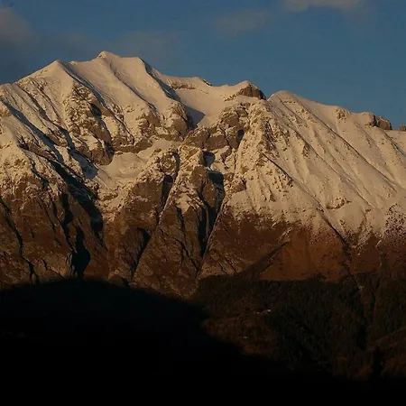 Catif Ladru