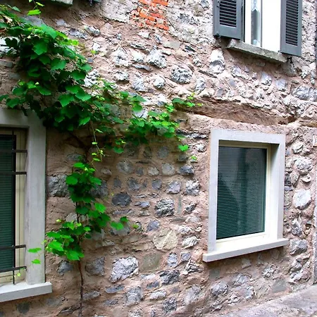 Bed & Breakfast Catif Ladru 3*