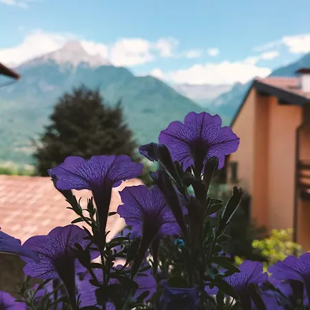 Catif Ladru 3* Cerveno